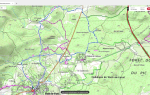 viols le fort -aven vidal 34