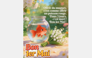 1er MAI
