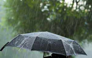pluie