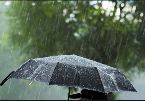 pluie